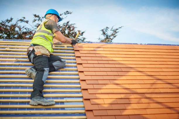 Best Cold Roofs  in Baidland, PA